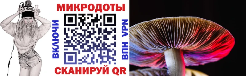 Псилоцибиновые грибы Cubensis  Купить где  Правдинск 